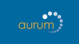 Aurum Alarms