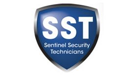 Sentinel Security Technicians
